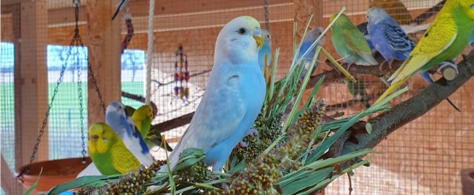 Slider 1